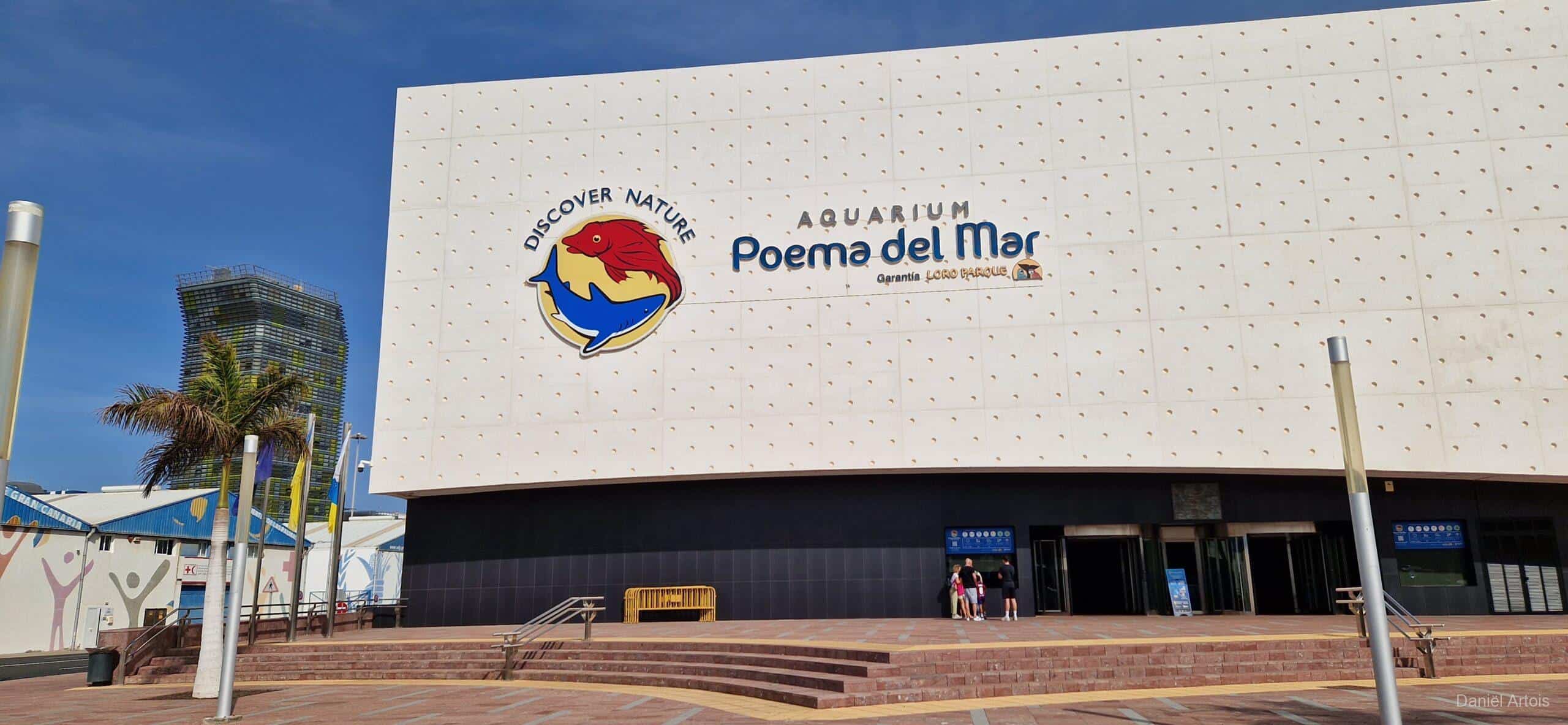 09/02/2024 Las Palmas