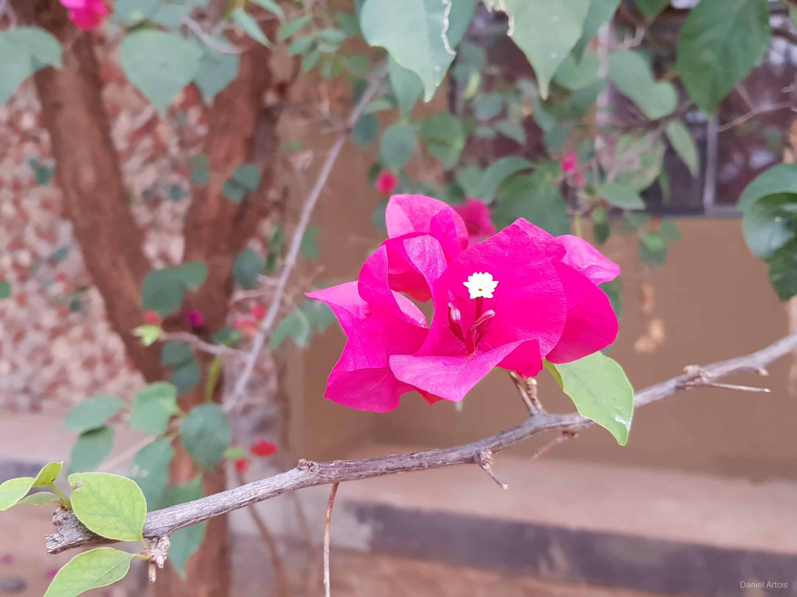 07/01/2019 Ethiopië – Dag 4