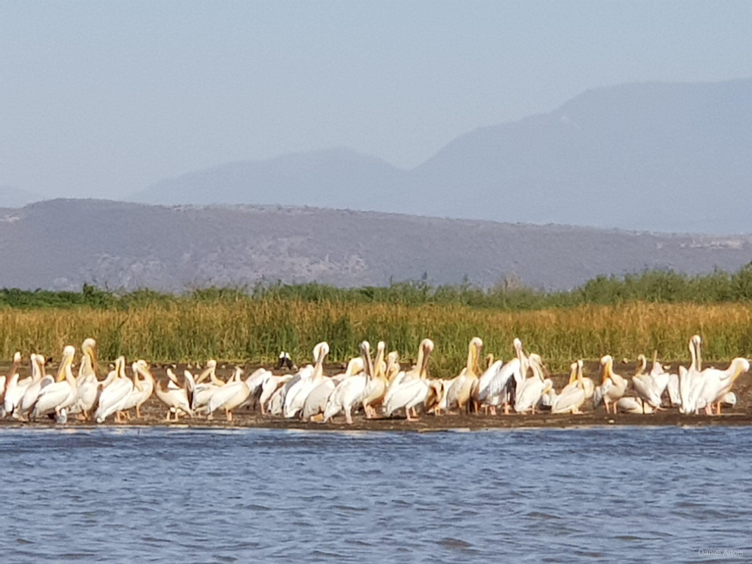 12/01/2019 Ethiopië – Dag 9 Deel 2/2