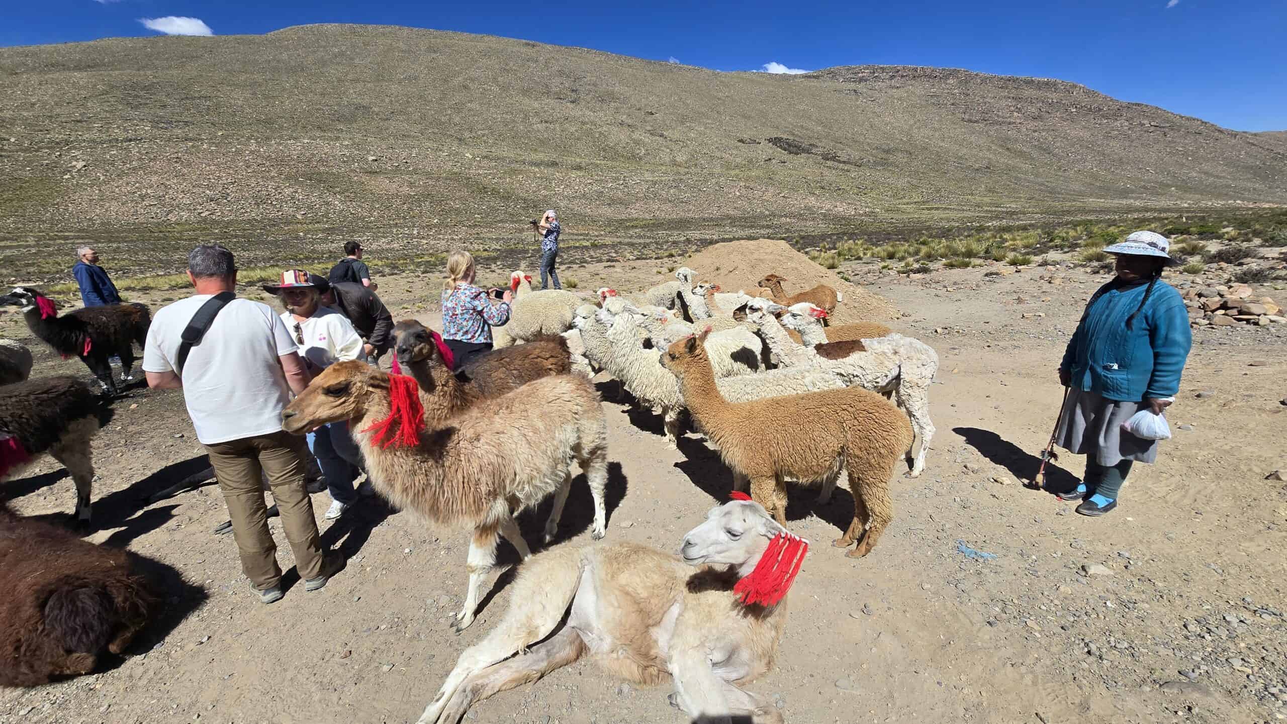 13/05/2026 Dag 9 Arequipa – Colca Canyon