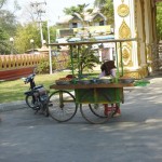 Myanmar 250
