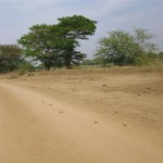 P1010136