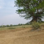 P1010137
