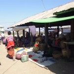 P1010252