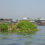 P1010266