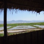 P1010296
