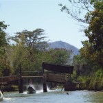 P1010310