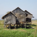 P1010388