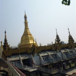 P1010418
