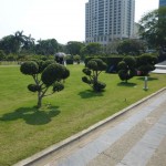 P1010441