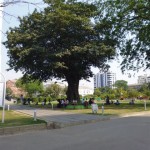 P1010444