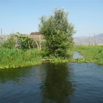 P1040417
